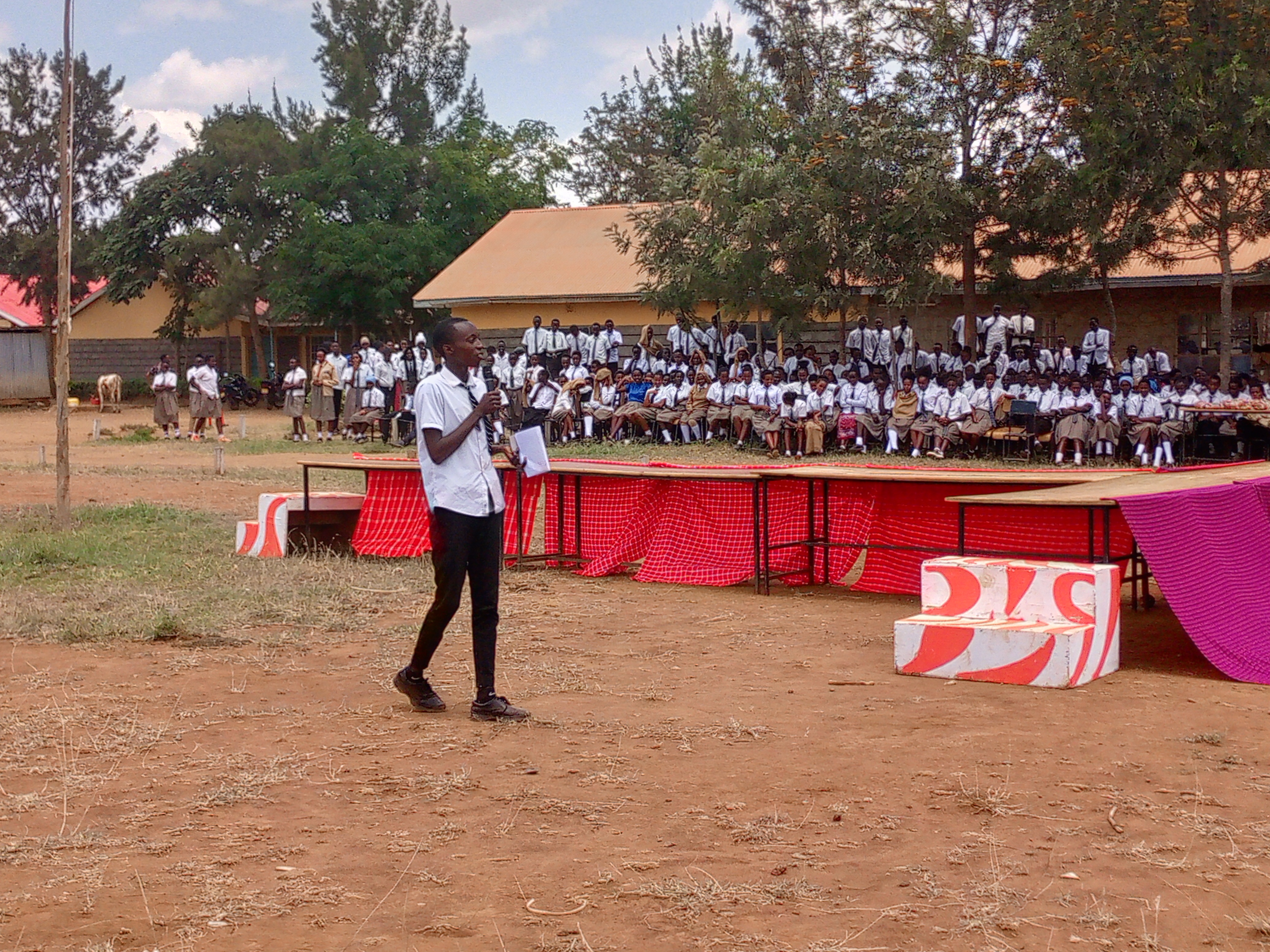 Wintry Mountain Landscape